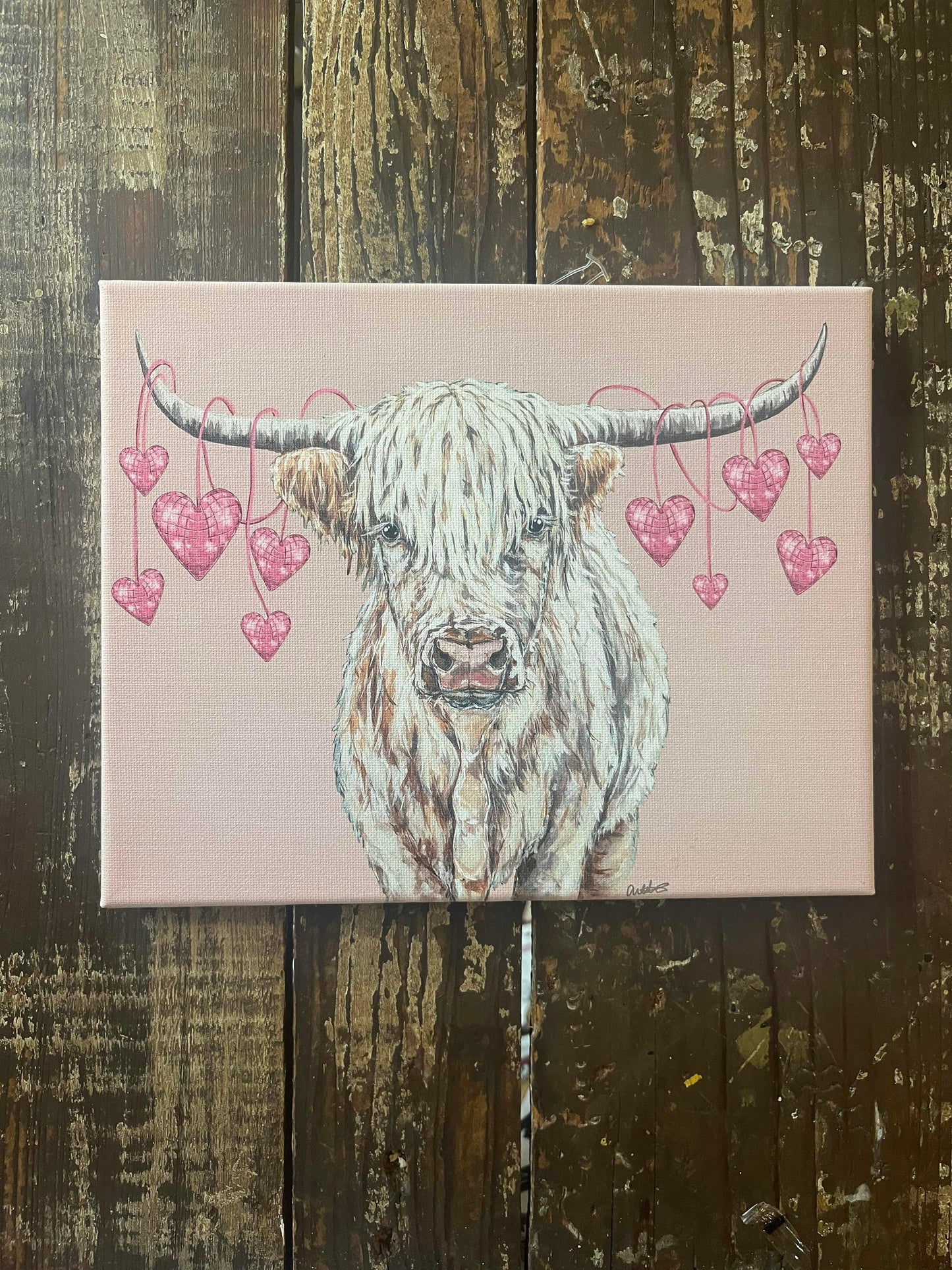 Valentines Highland Canvas Print