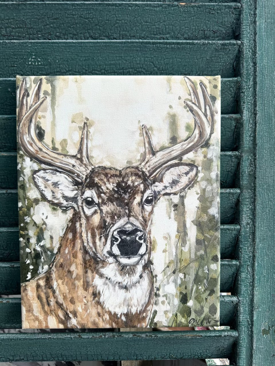 Buck Canvas Print 11x14