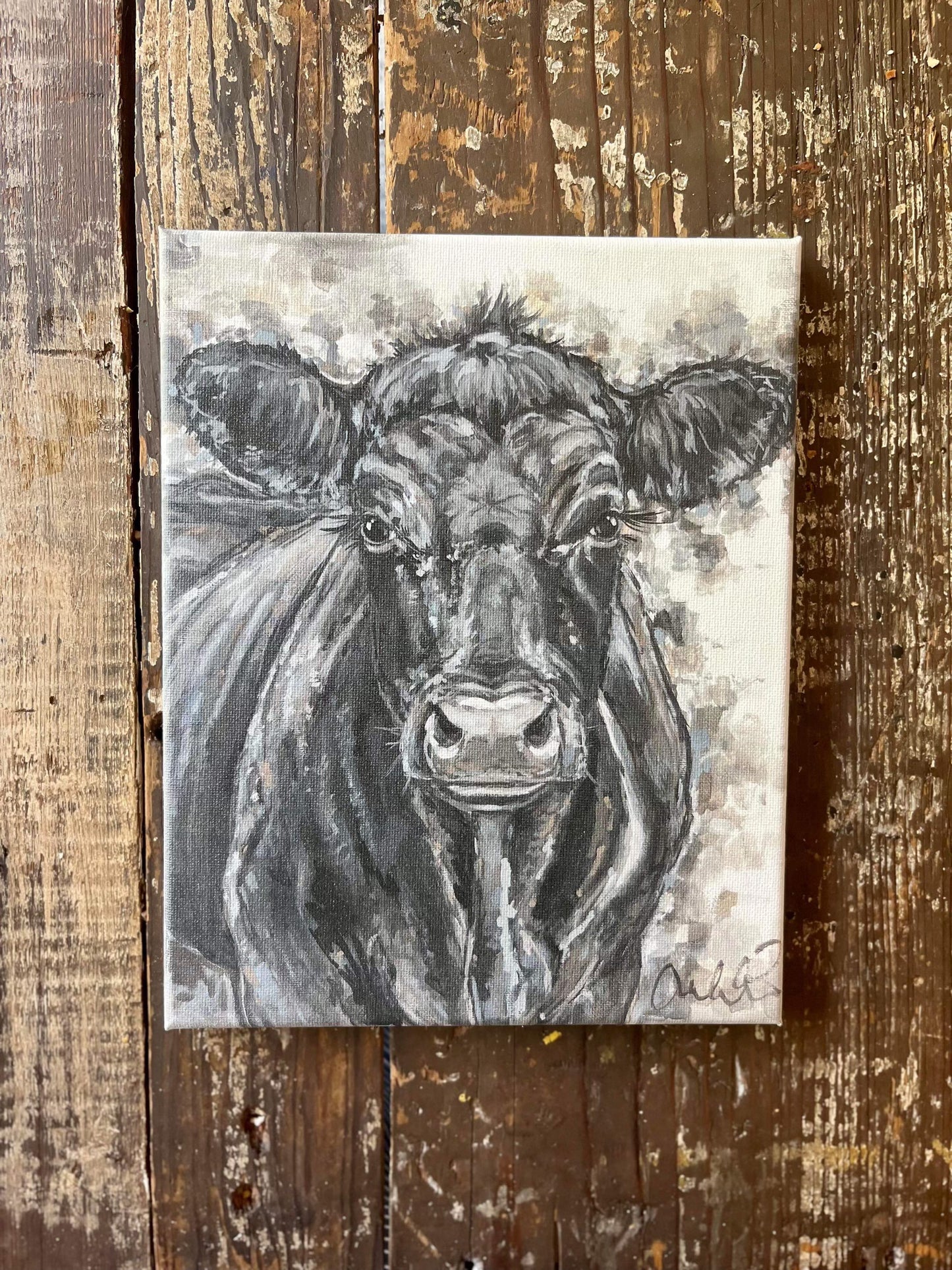 Agnus the Angus Canvas Print