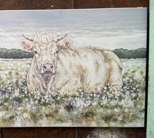 Charlene the Charolais 16x20