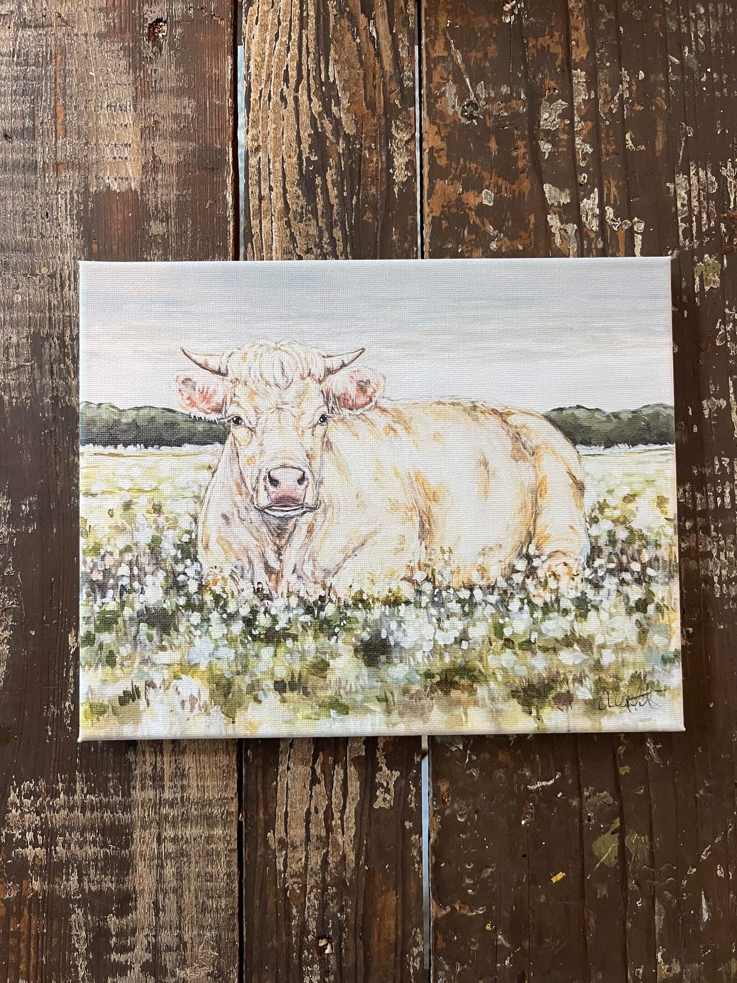 Charlene the Charolais