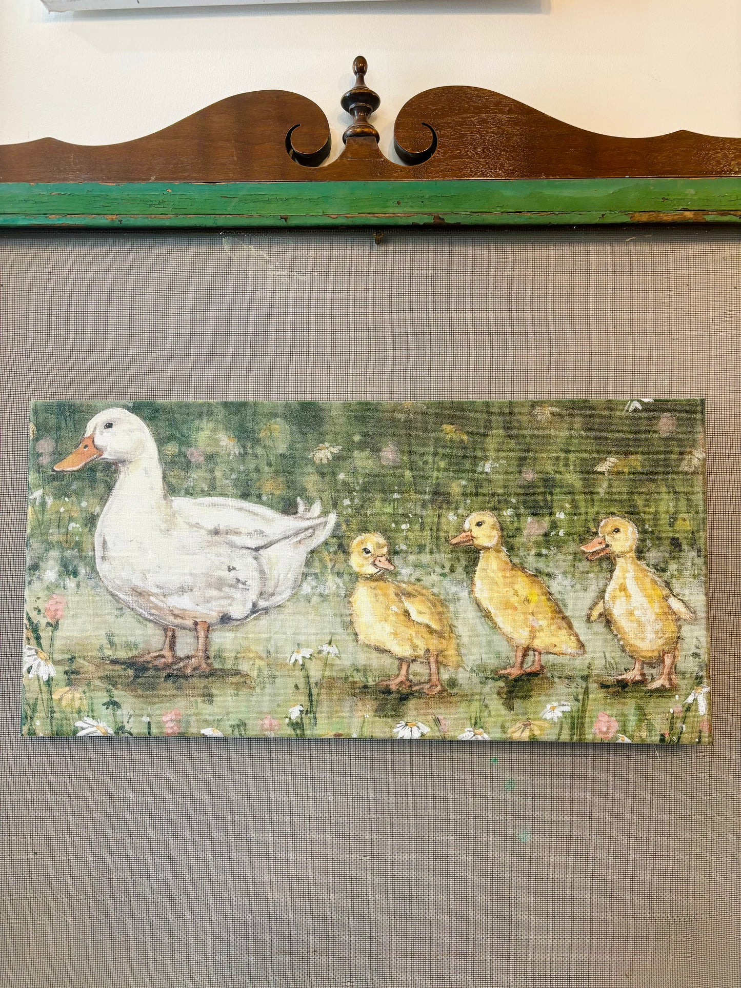 Ducks in a Row Canvas Print