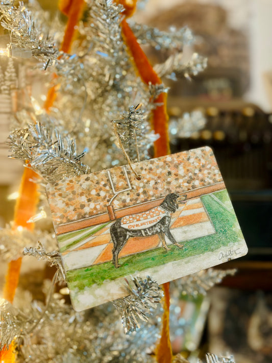 Smokey 25 Ornament
