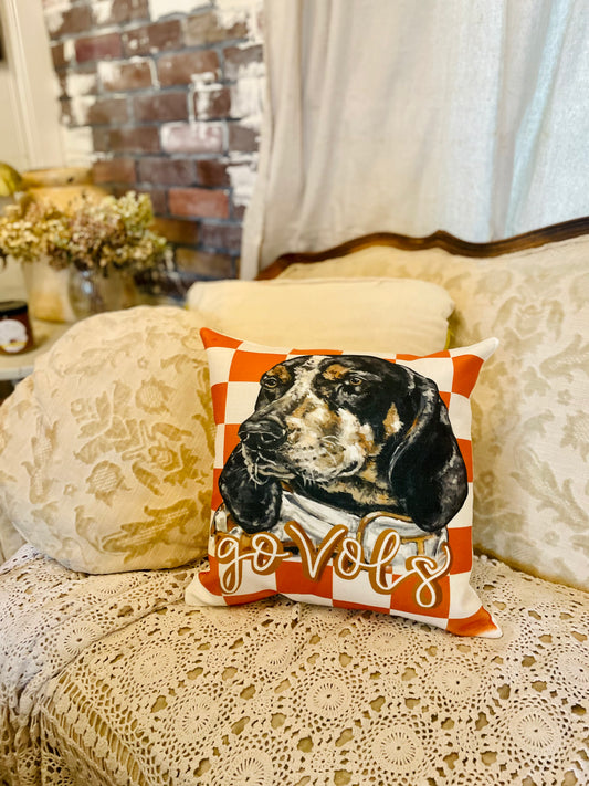 Ole’ Smokey Checkered Pillow