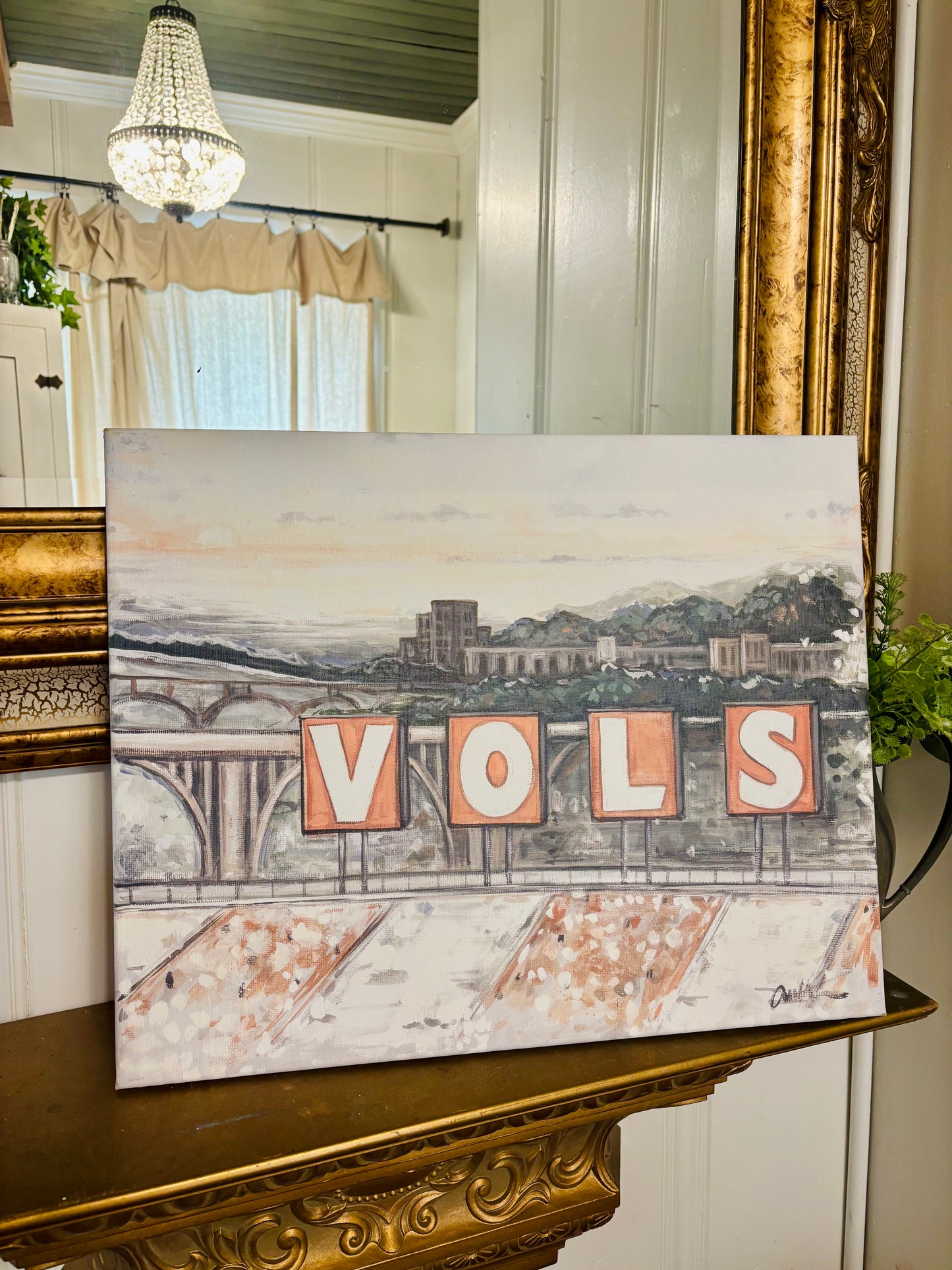 Vols View Canvas Print