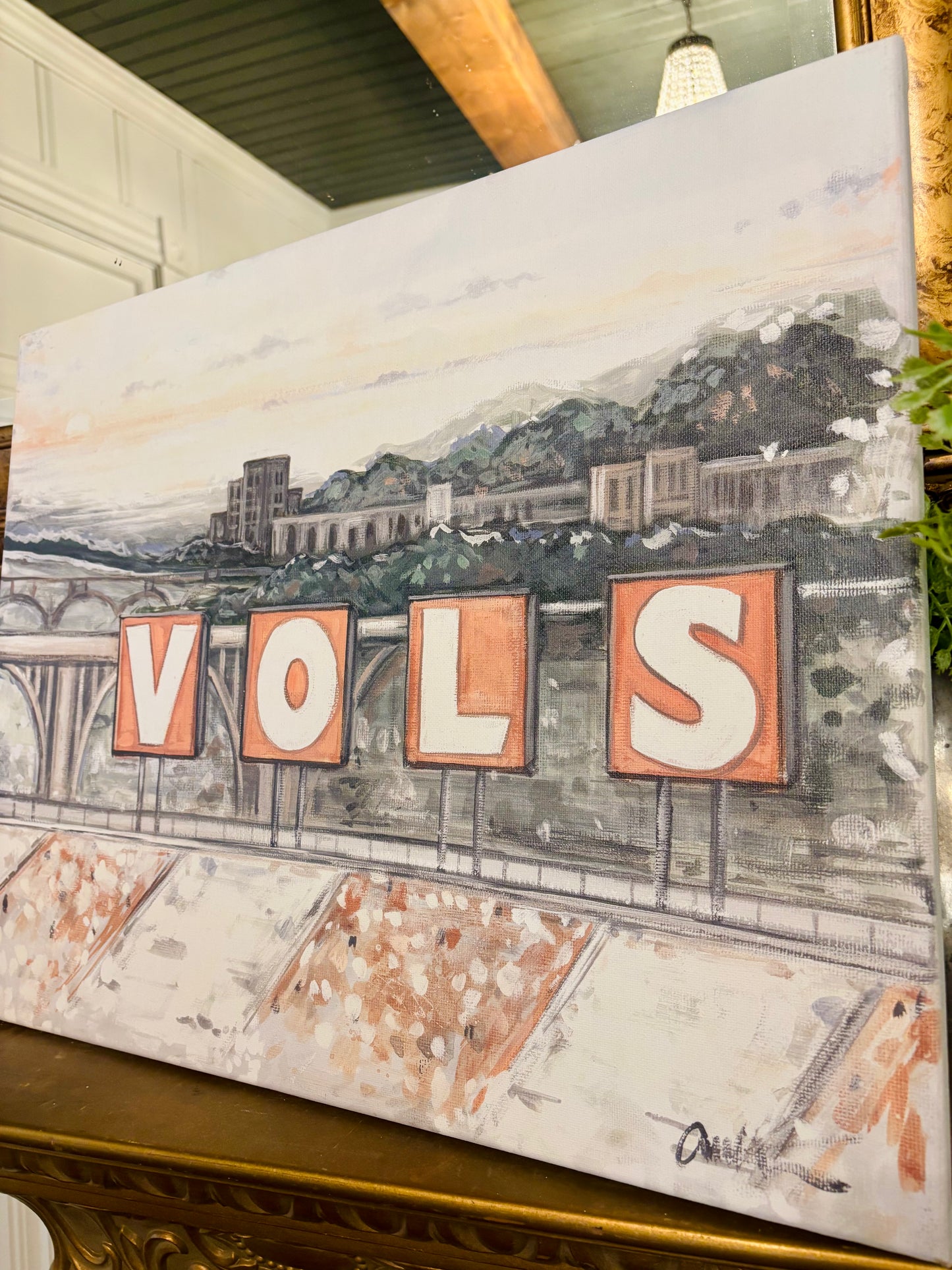 Vols View Canvas Print