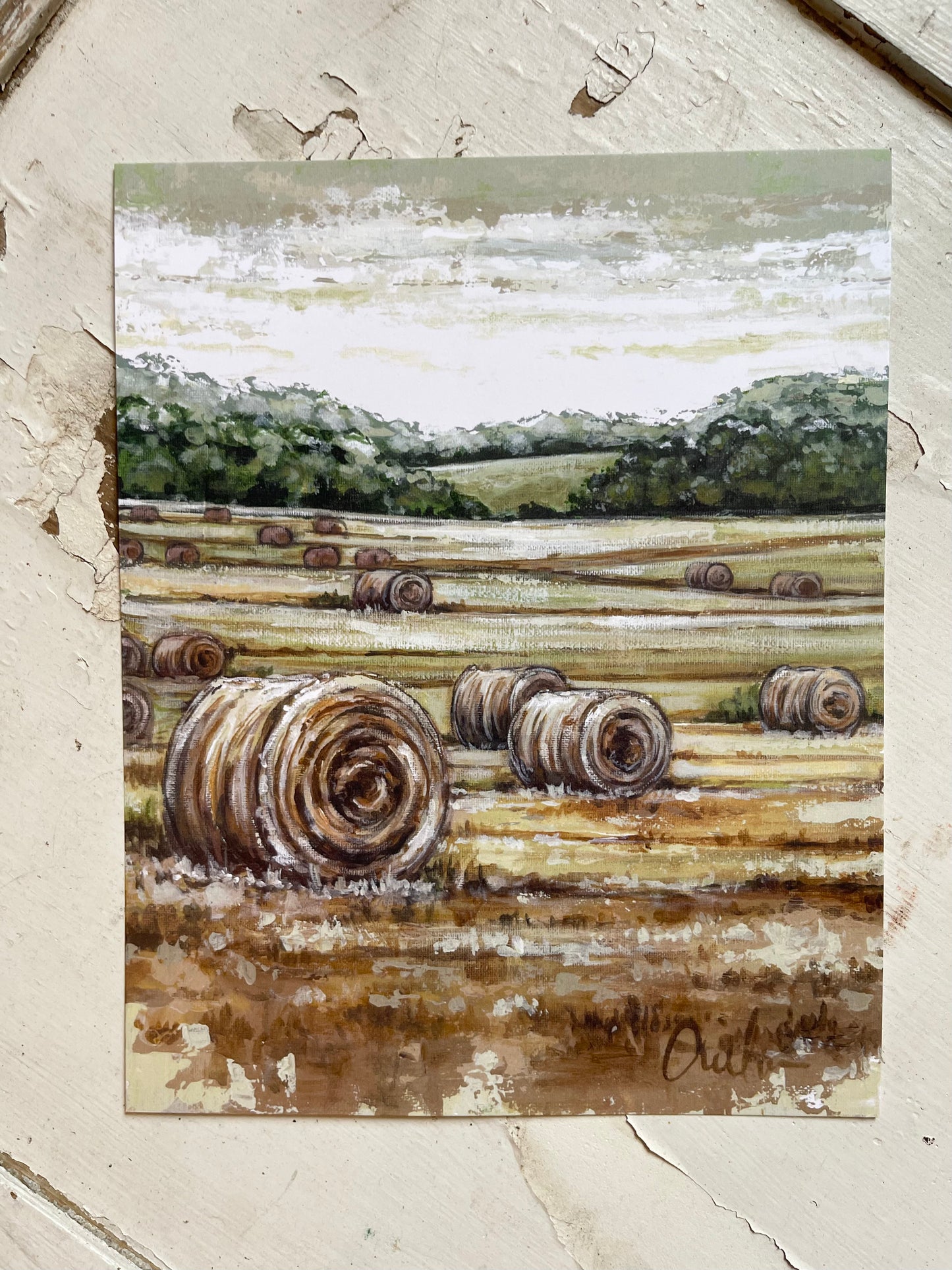 Hayfield 8x10